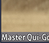 Master Qui-Gon 16