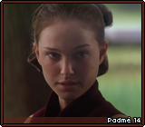 Padmé 14