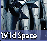 Wild Space 36